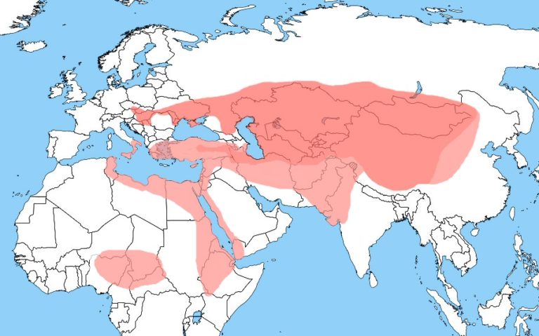 Wintering Distribution | International Wildlife Consultants Ltd.